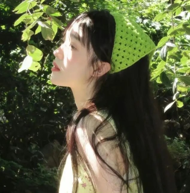 联邦调查局第八季